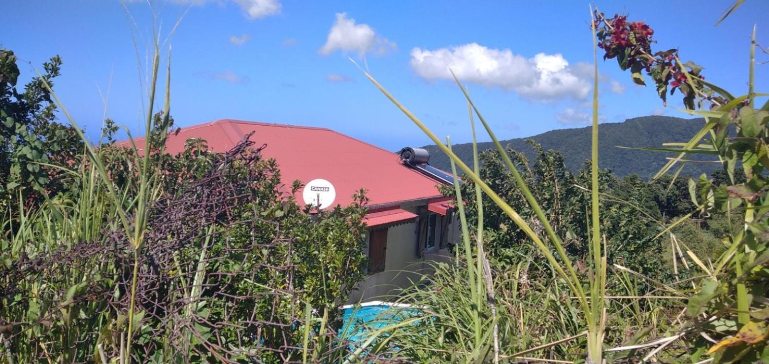 Les Pimentiers De Papaye Vila Saint-Claude Exterior foto